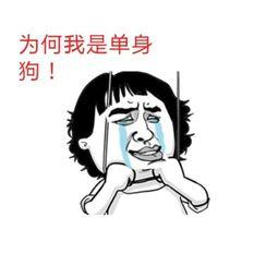 单身狗天气  第3张