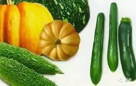 怎么可以吃兔兔  第3张