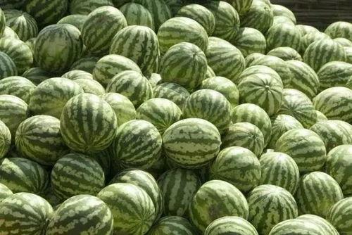 书亦普通话app免费应用下载v1.3.24  第2张