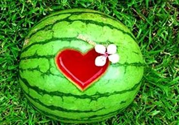 晨曦时梦见兮汉化  第2张