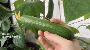 晨曦时梦见兮汉化  第3张