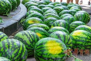 黑料吃瓜网apk普通安装  第3张