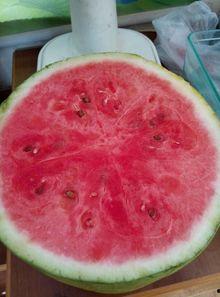 镇雄微生活  第2张