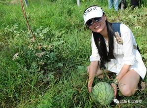 闲置的野兽猎人 