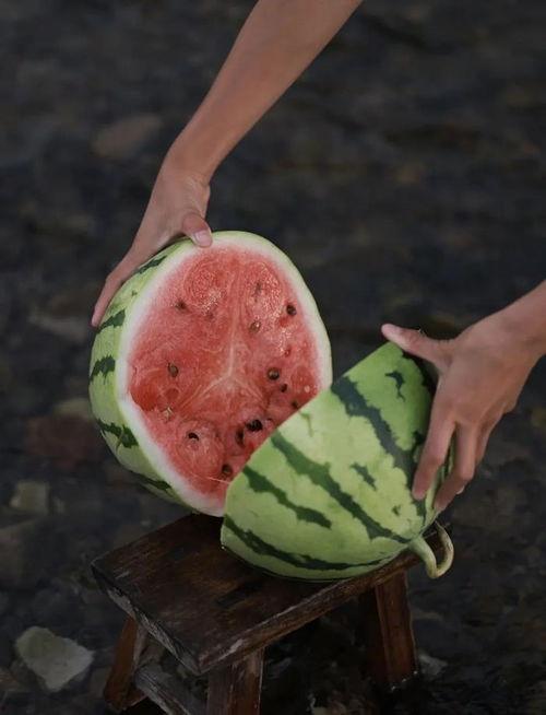 闲置的野兽猎人  第3张