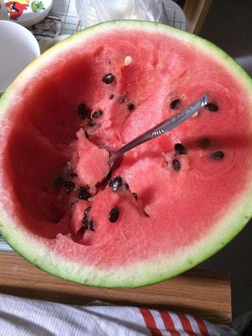 怎么可以吃兔兔  第2张