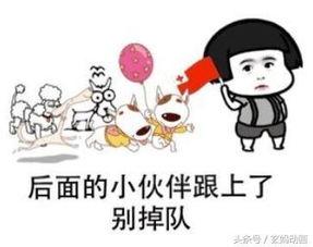 黑料吃瓜网apk普通安装  第3张